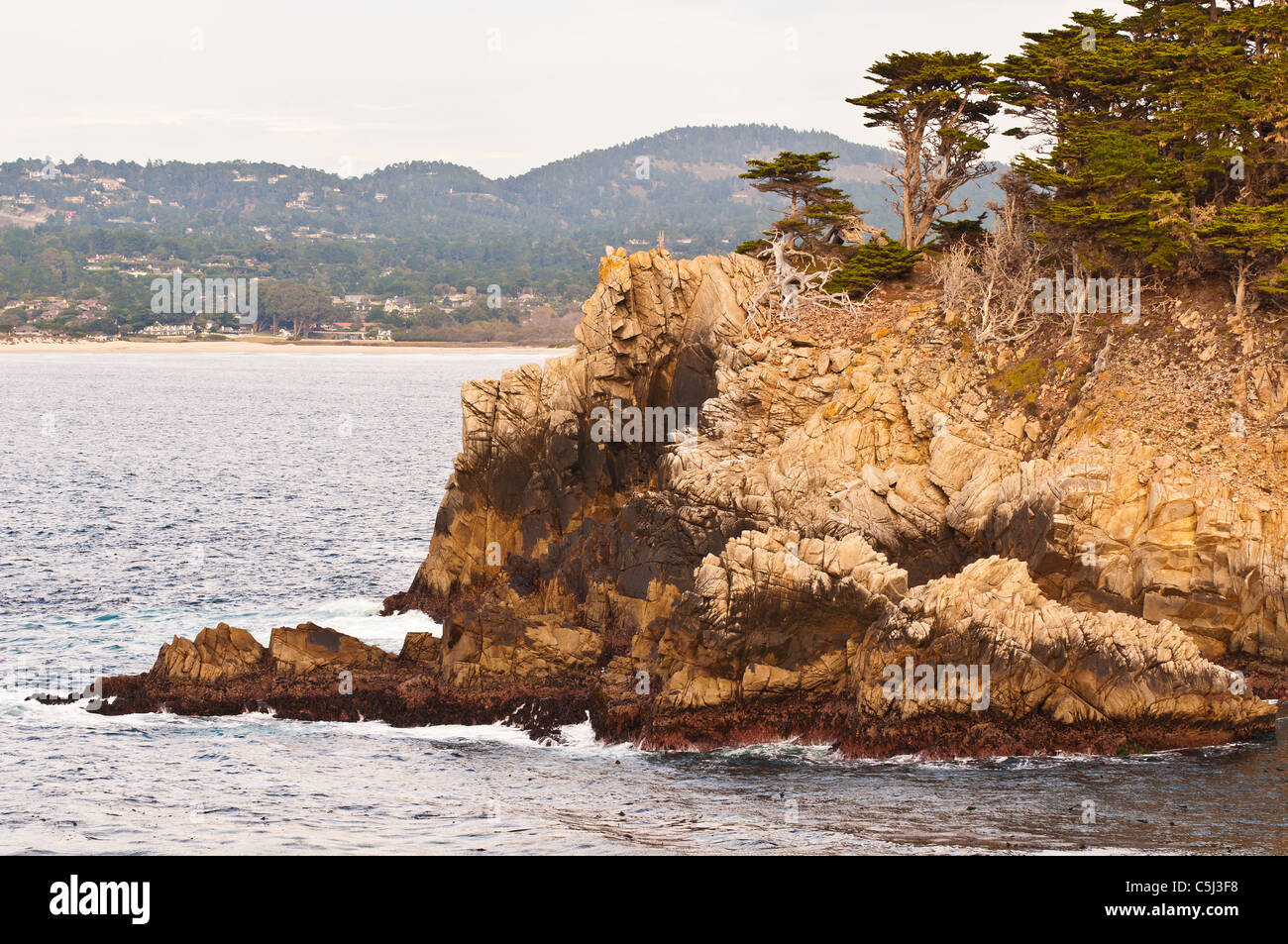 Scogliera rocciosa lungo il Cypress Grove Trail, Point Lobos State Reserve, Carmel California Foto Stock