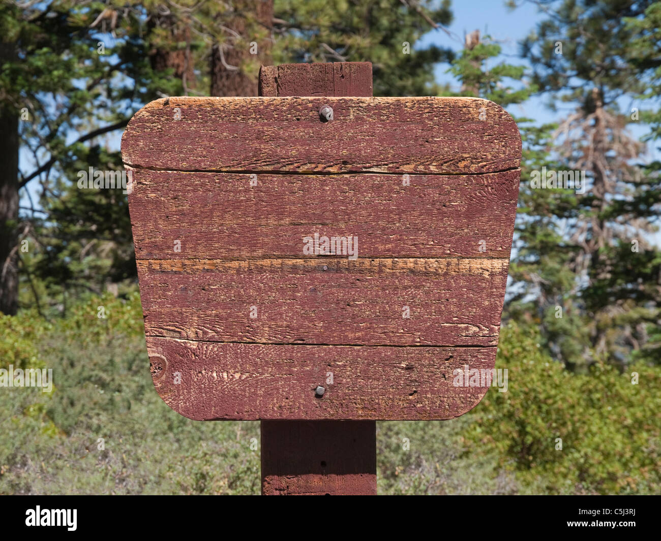 Legno bianco deserto segno nella foresta alpina. Foto Stock