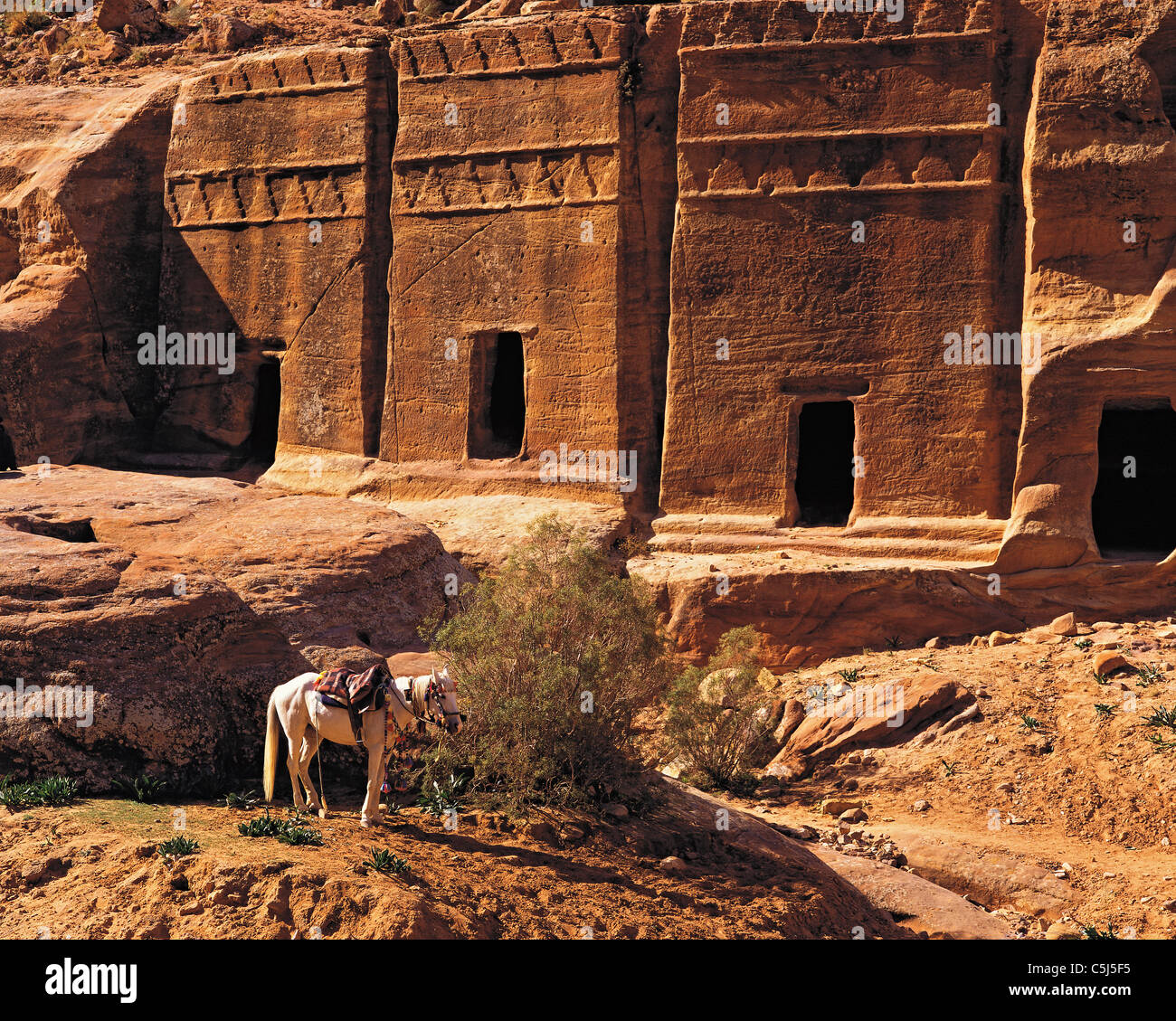 Un cavallo sellati attende di fronte a una fila di roccia scolpiti-tombe all'ingresso della leggendaria città di Petra, Giordania Foto Stock