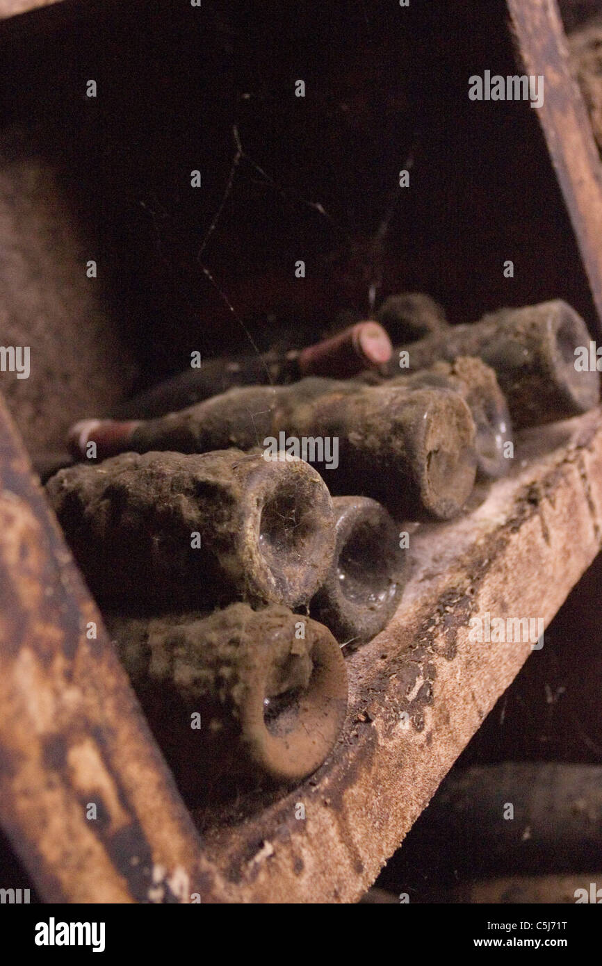 Vecchie bottiglie di vino nelle cantine a Domaine Michel Gros. Vosne-Romanee, Beaune, Francia. Foto Stock