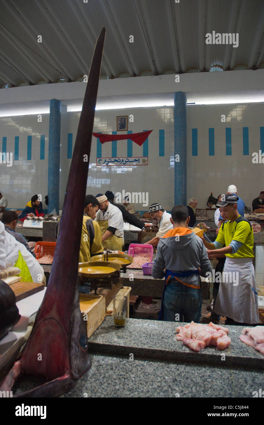 Marche Central de Poissons mercato di pesce a Le Grand Socco square Tangeri Marocco Africa settentrionale Foto Stock