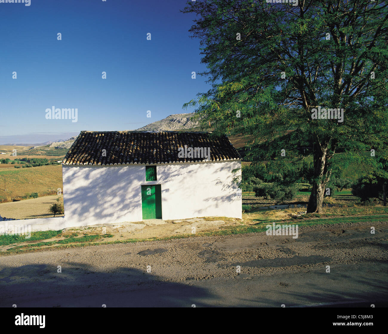 Piccolo fienile o fattoria edificio nell'ombra di un grande albero della Serrania de Ronda Andalusia Foto Stock