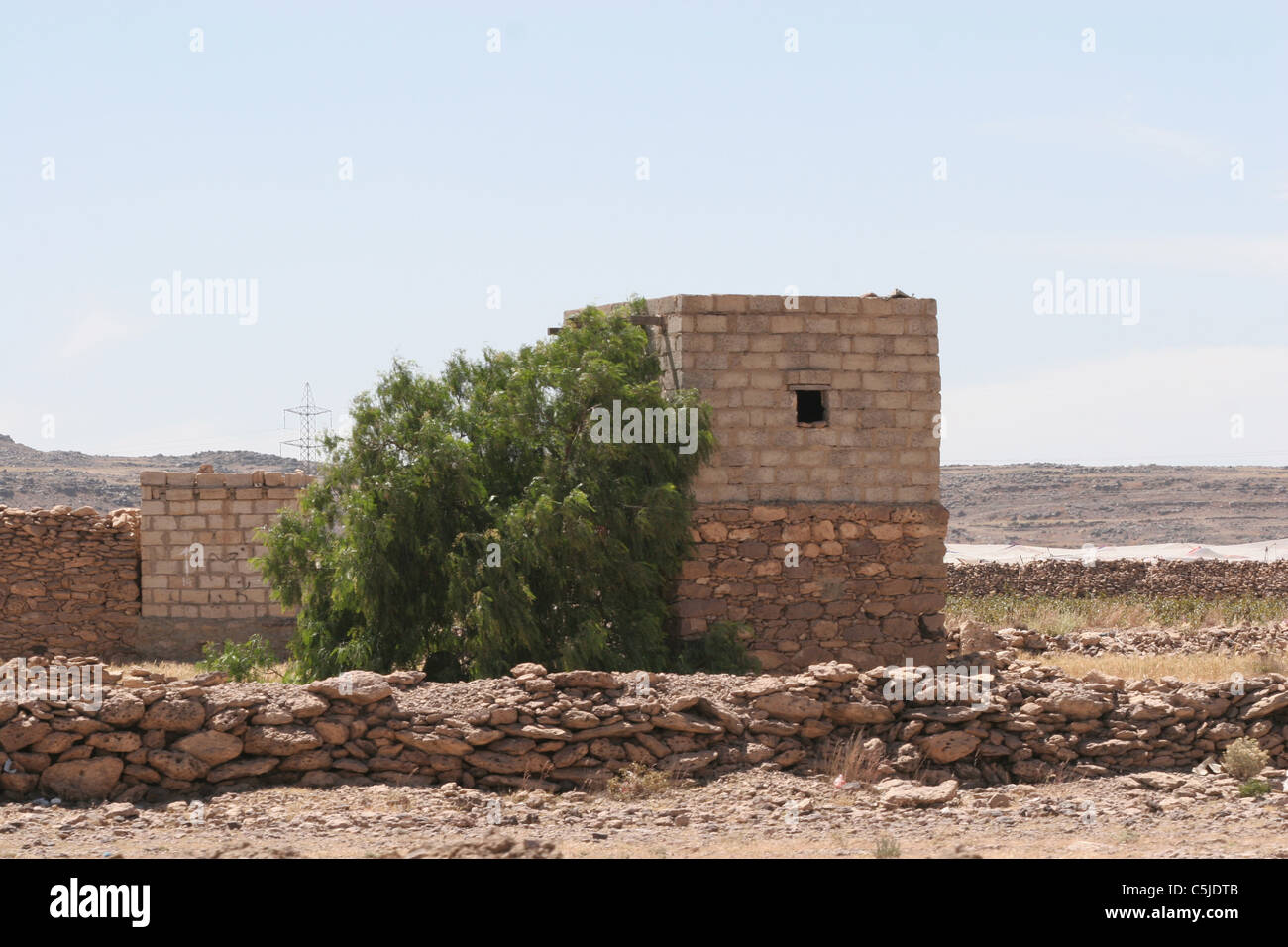 Mattoni vecchi o edificio di argilla in Yemen Foto Stock