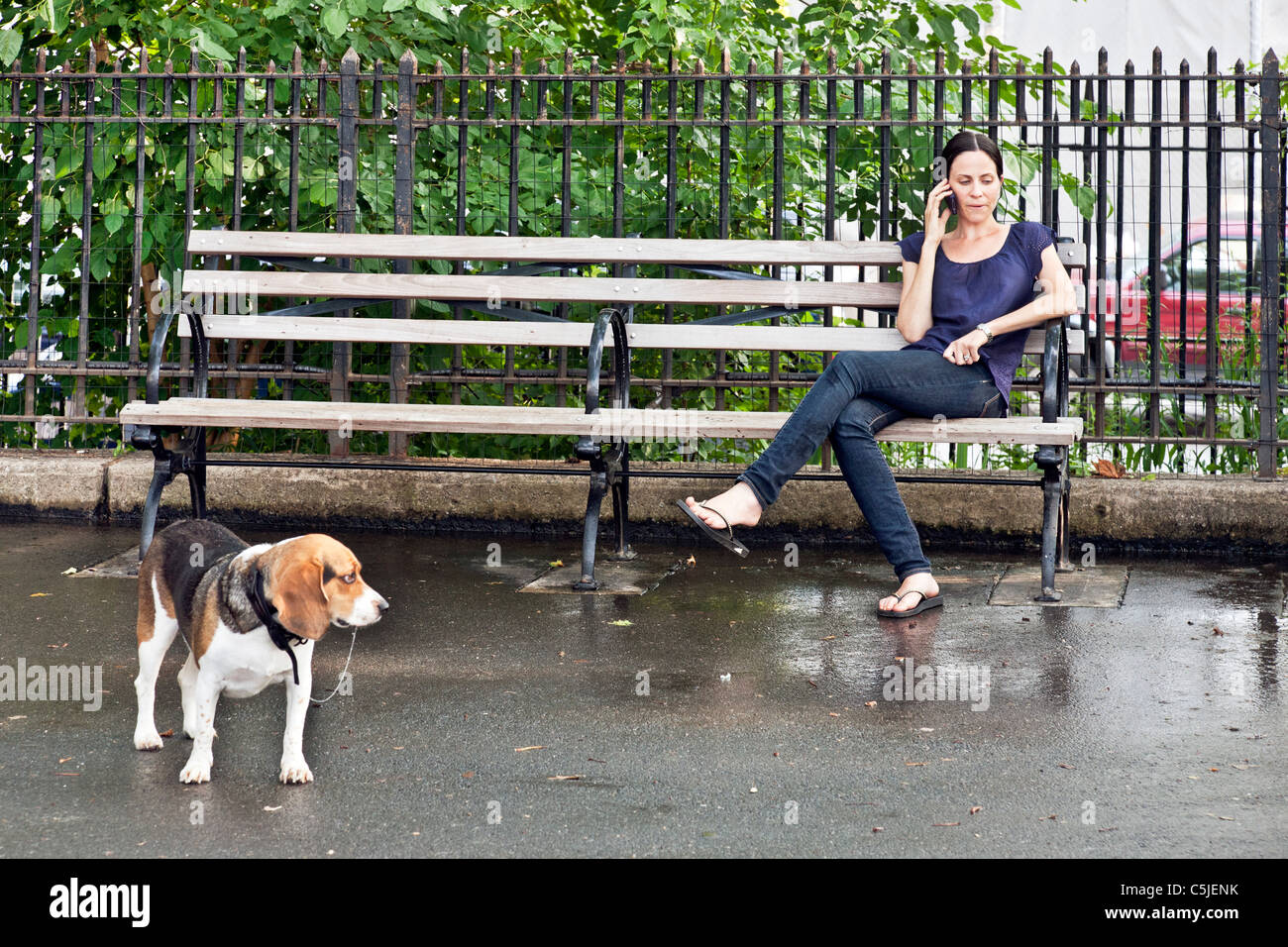 Giovane donna siede sulla panchina di DeWitt Clinton park dog run parlando sul suo cellulare mentre il suo cane beagle attende l attenzione di New York Foto Stock