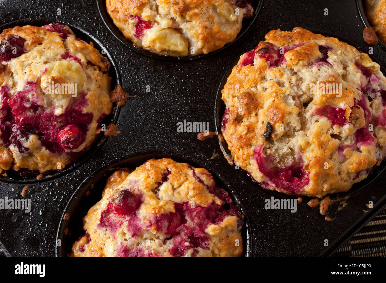 Appena sfornato muffin ai mirtilli Foto Stock