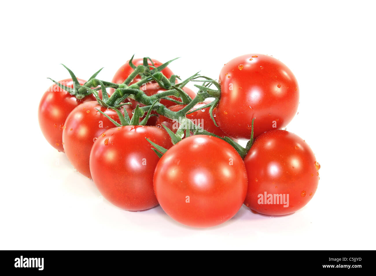 Un panicle pomodori a grappolo su sfondo bianco Foto Stock