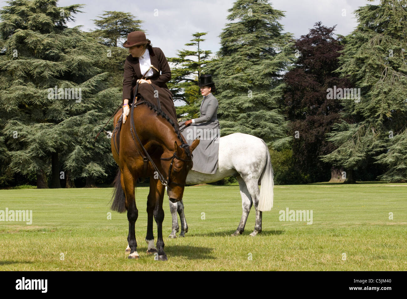 Una signora sidesaddle equitazione 'Flying Fox ' in occasione di una mostra in Oxfordshire Inghilterra Foto Stock