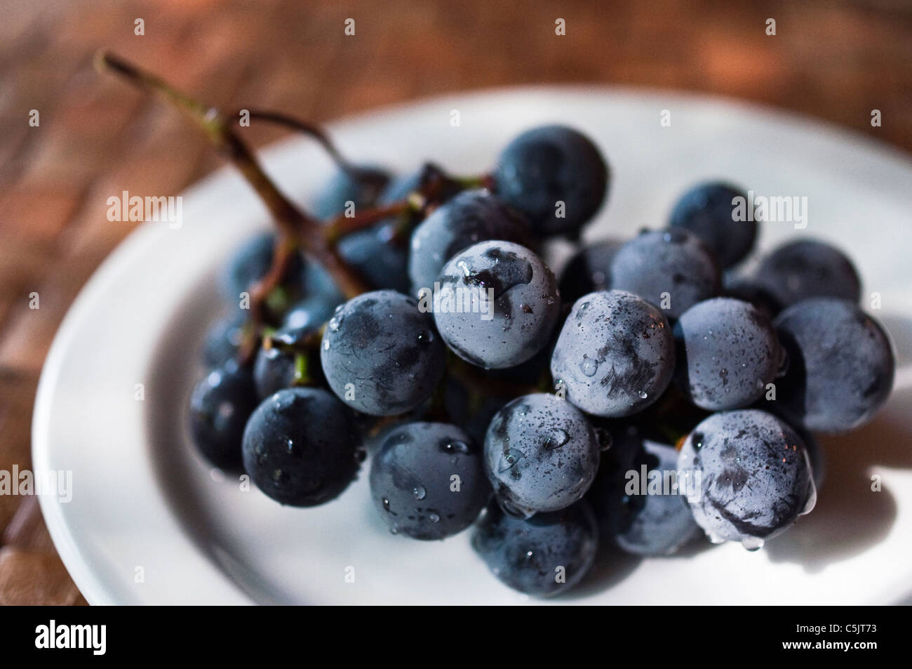 Concord uva (Vitis labrusca) su una piastra in settembre. Foto Stock
