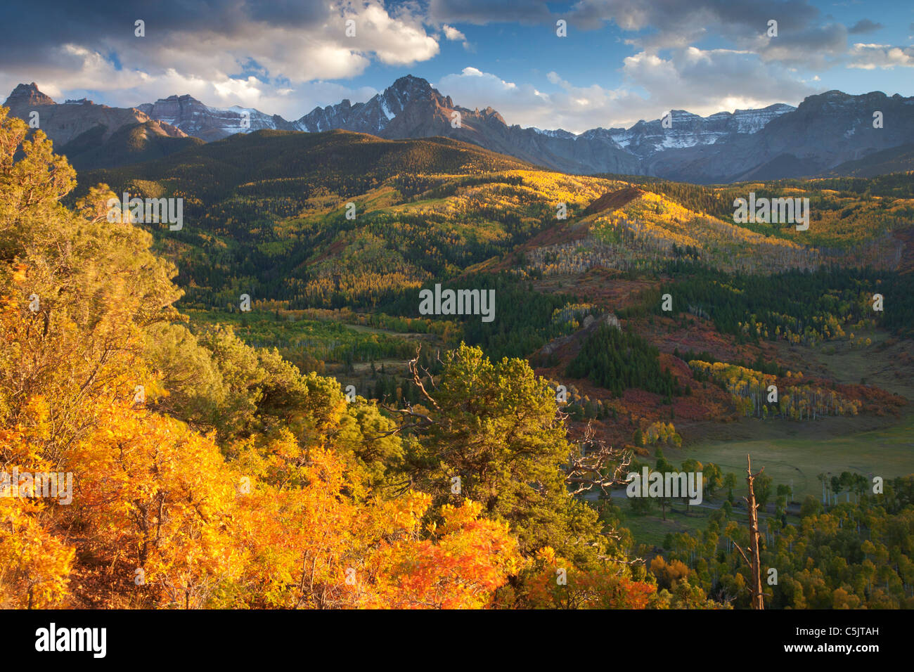 I colori autunnali e la gamma Sneffels, San Juan Mountains, Colorado. Foto Stock
