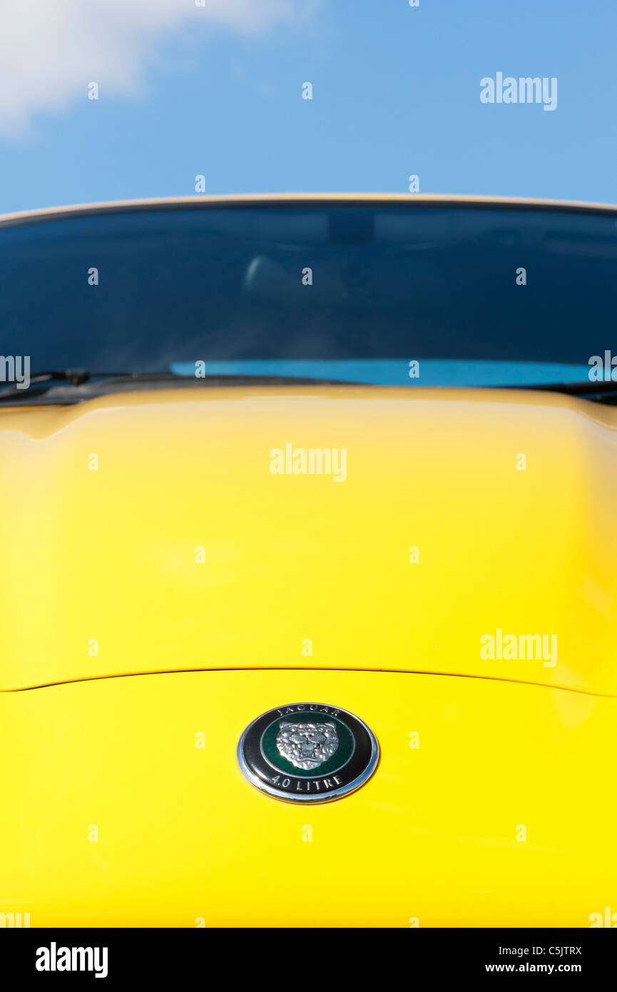 Jaguar XK8 auto. Il Badge e front end abstract Foto Stock