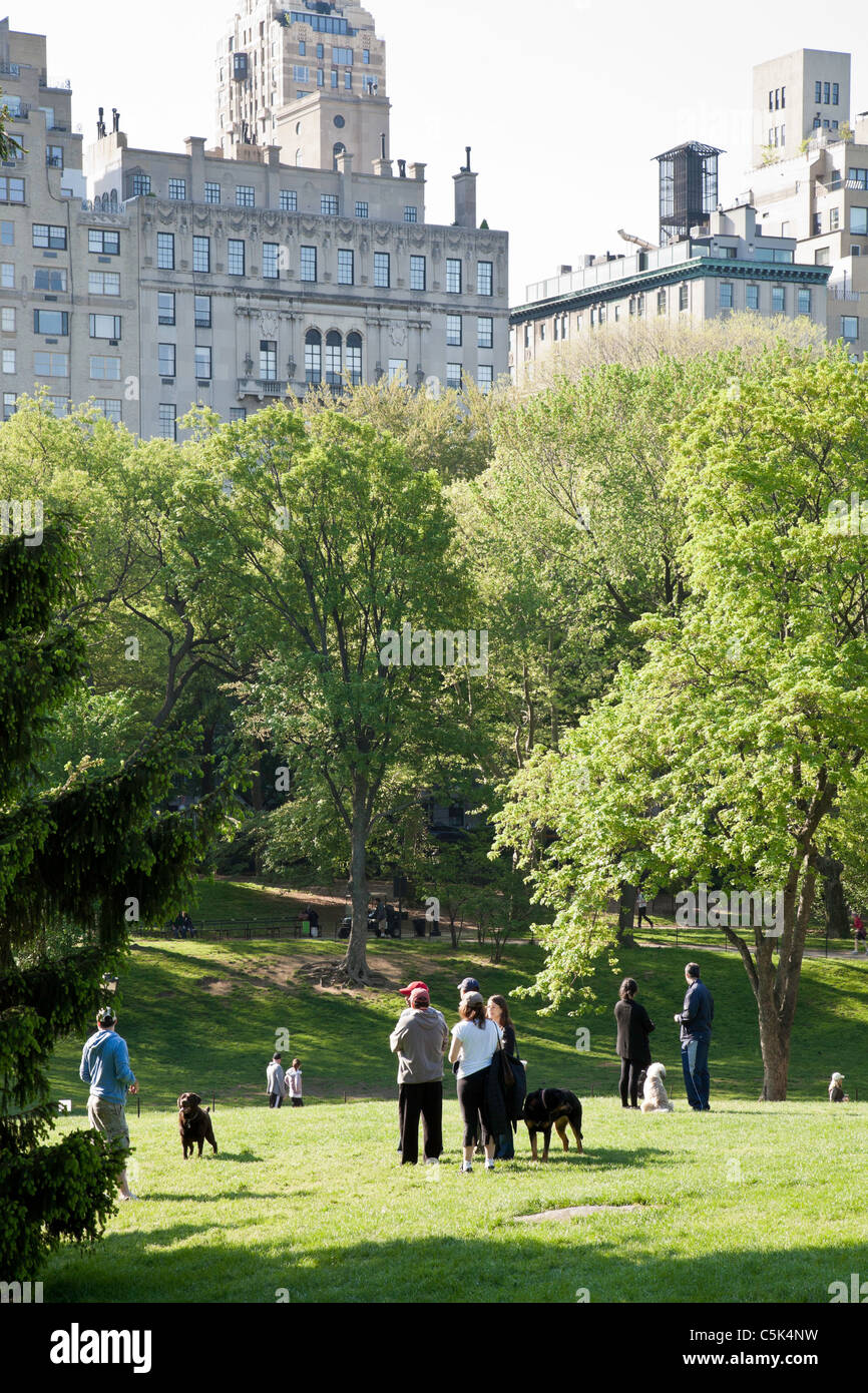 I cani e i proprietari, Cane Hill e Fifth Avenue di edifici di appartamenti, al Central Park di New York Foto Stock