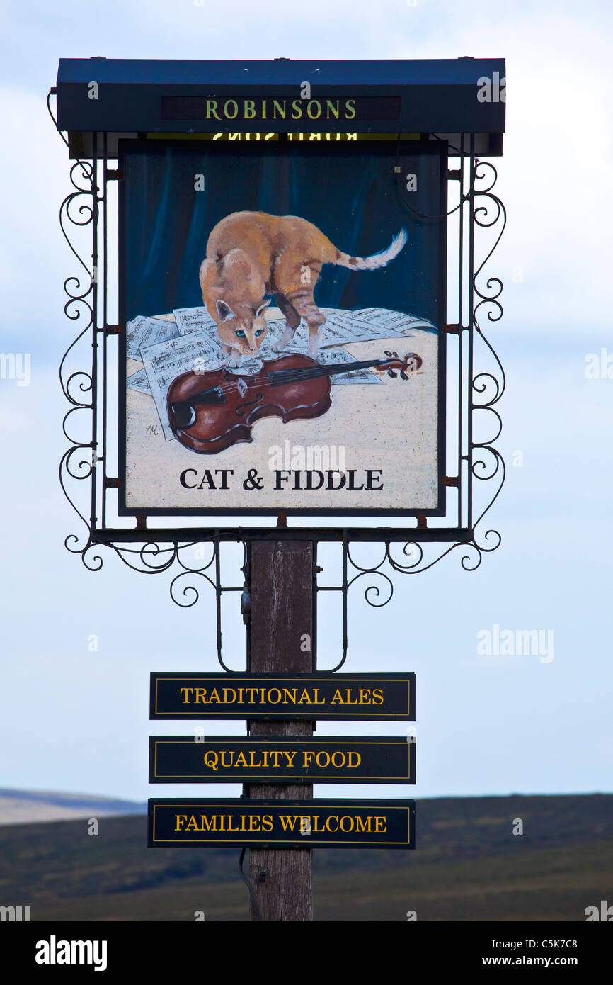 Gatto & Fiddle Foto Stock