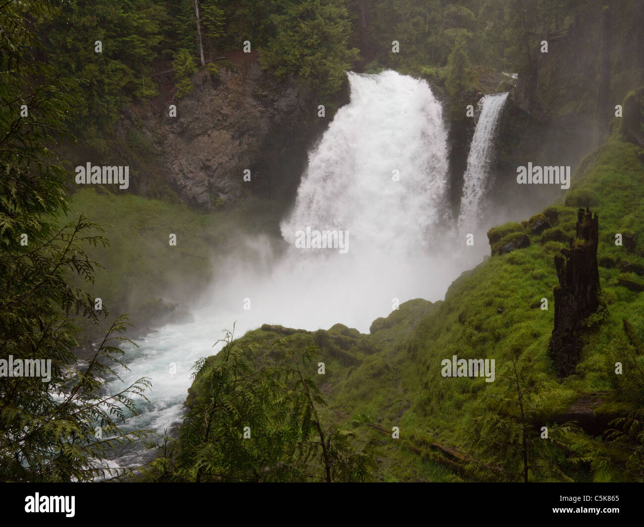 Sahalie Falls, McKenzie River, vicino alle sorelle, Oregon, Stati Uniti d'America Foto Stock