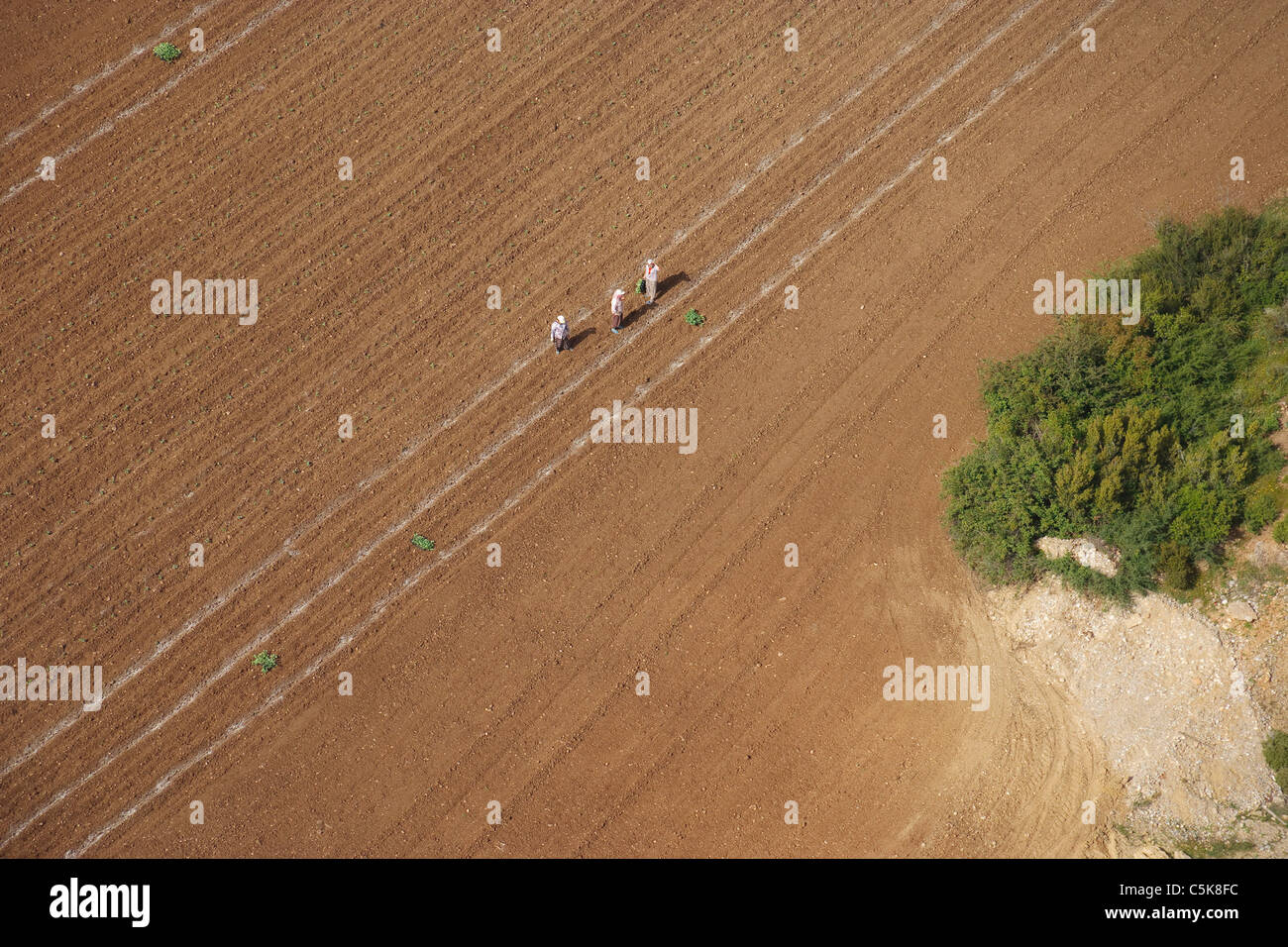Vista aerea di tre lavoratori agricoli in un campo, Manavgat, Antalya, Turchia Foto Stock
