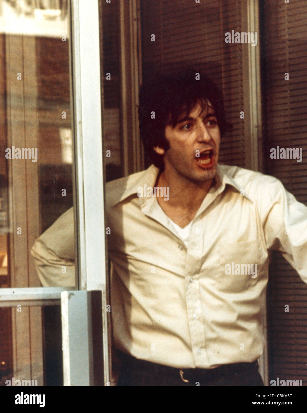 Cane giorno pomeriggio Anno: 1975 USA Direttore: Sidney Lumet Al Pacino Foto Stock