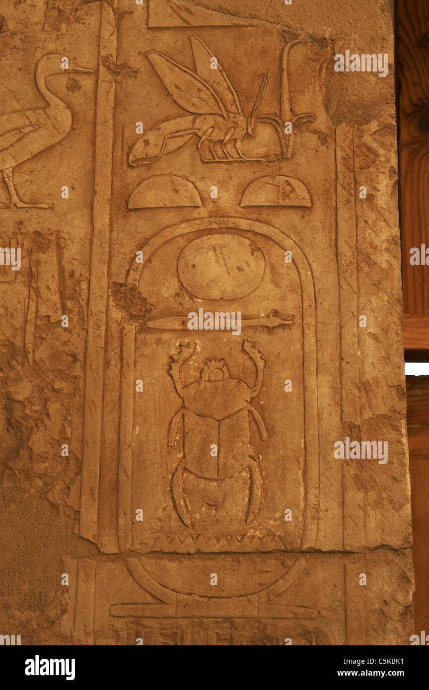 Cartuccia con praenomen di Thutmosi II. Nuovo Regno. Hatshepsut del tempio. Deir el-Bahari. L'Egitto. Foto Stock