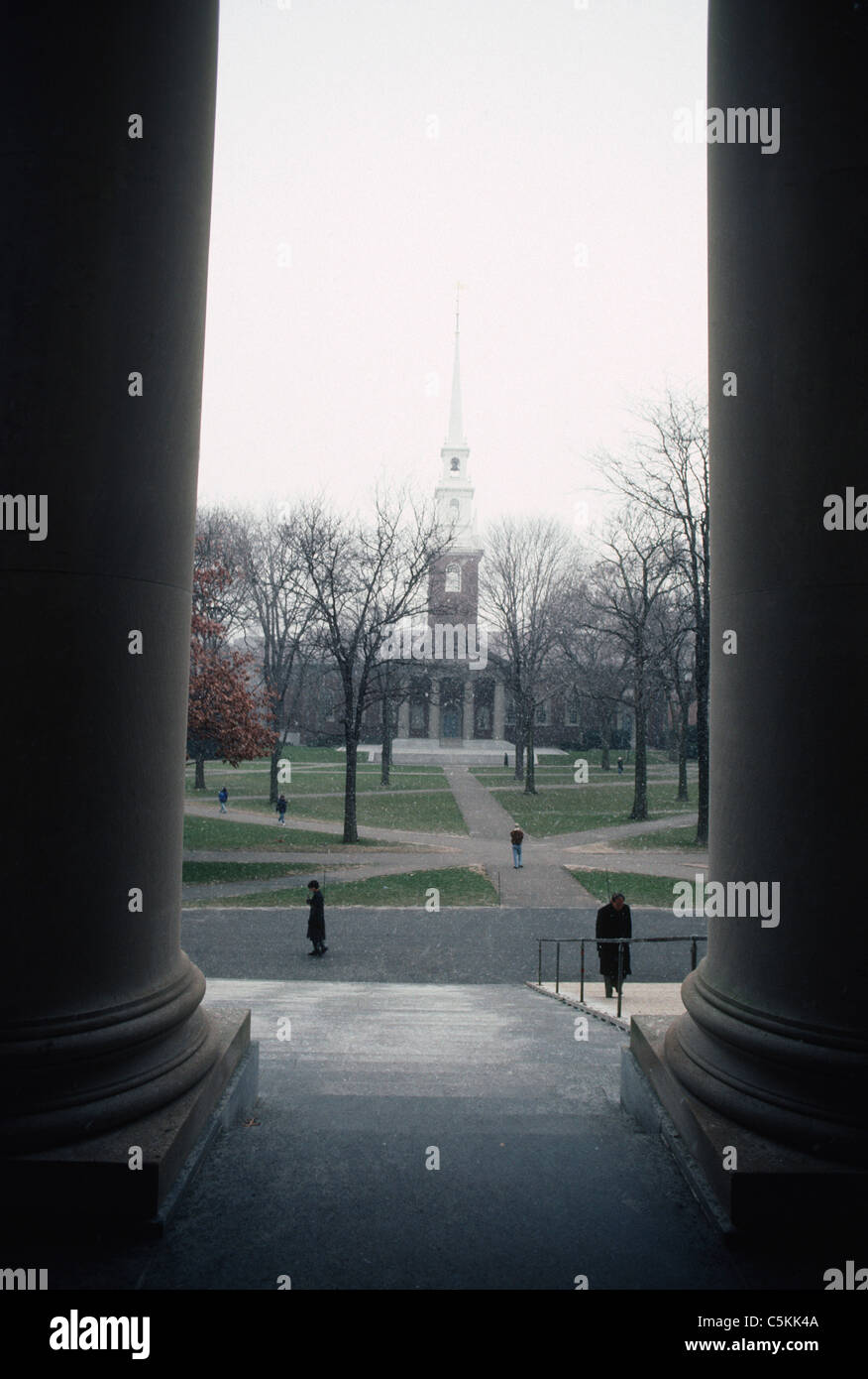 Harvard Yard, Cambridge, MA Foto Stock