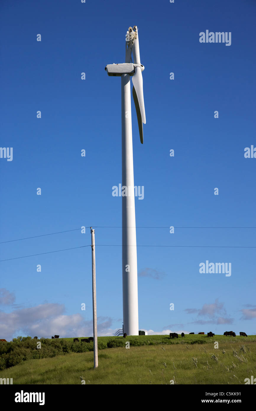Rotture di pale di una turbina eolica il mulino a vento agriturismo vicino a minot NORTH DAKOTA USA Foto Stock