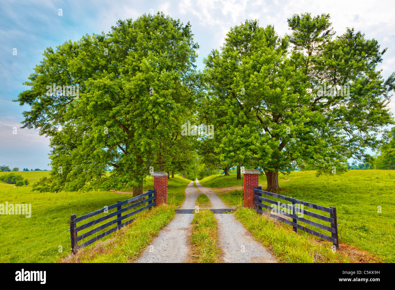 Strada di campagna Foto Stock