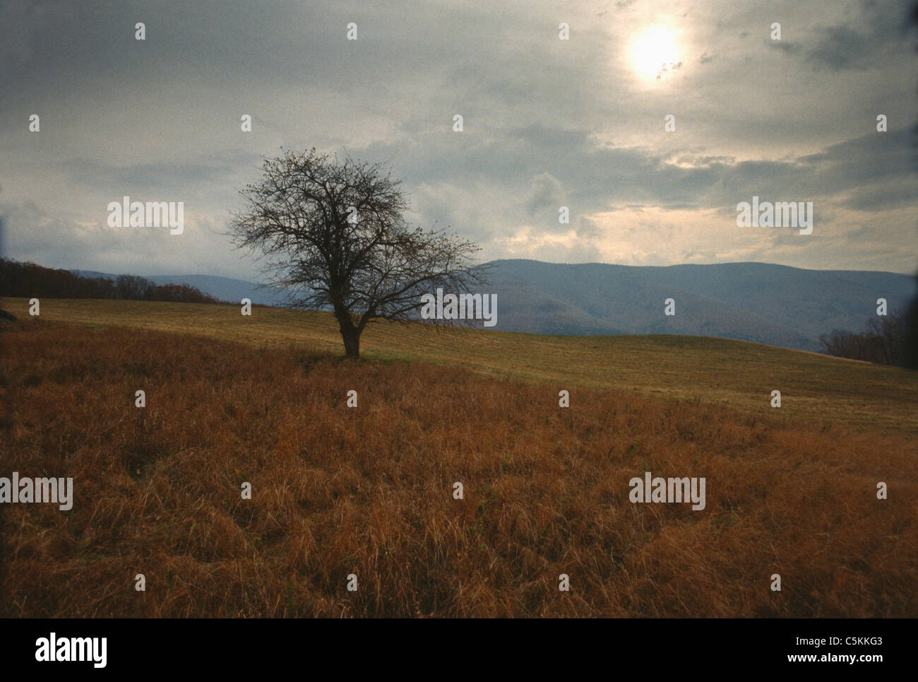 Tempesta di autunno si avvicina, cacciatore, NY Foto Stock