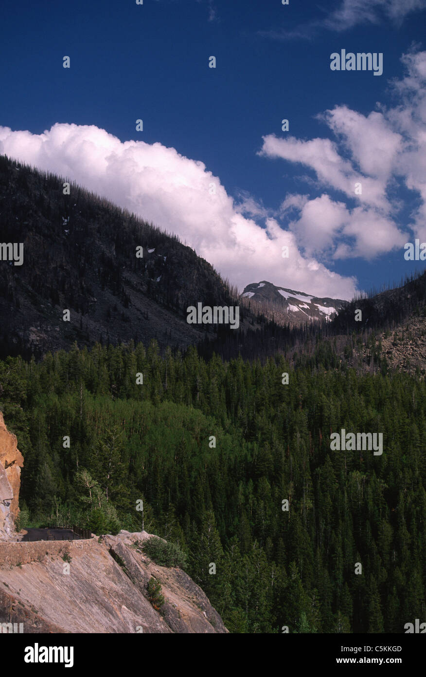 Indipendenza Pass, CO Foto Stock