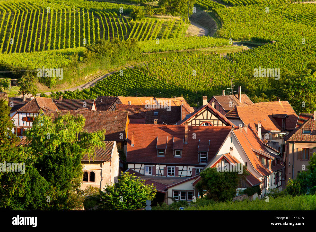 Sera La luce del sole sopra il borgo medievale di Hunawihr lungo la strada del vino Alsaziano Haut-Rhin Francia Foto Stock