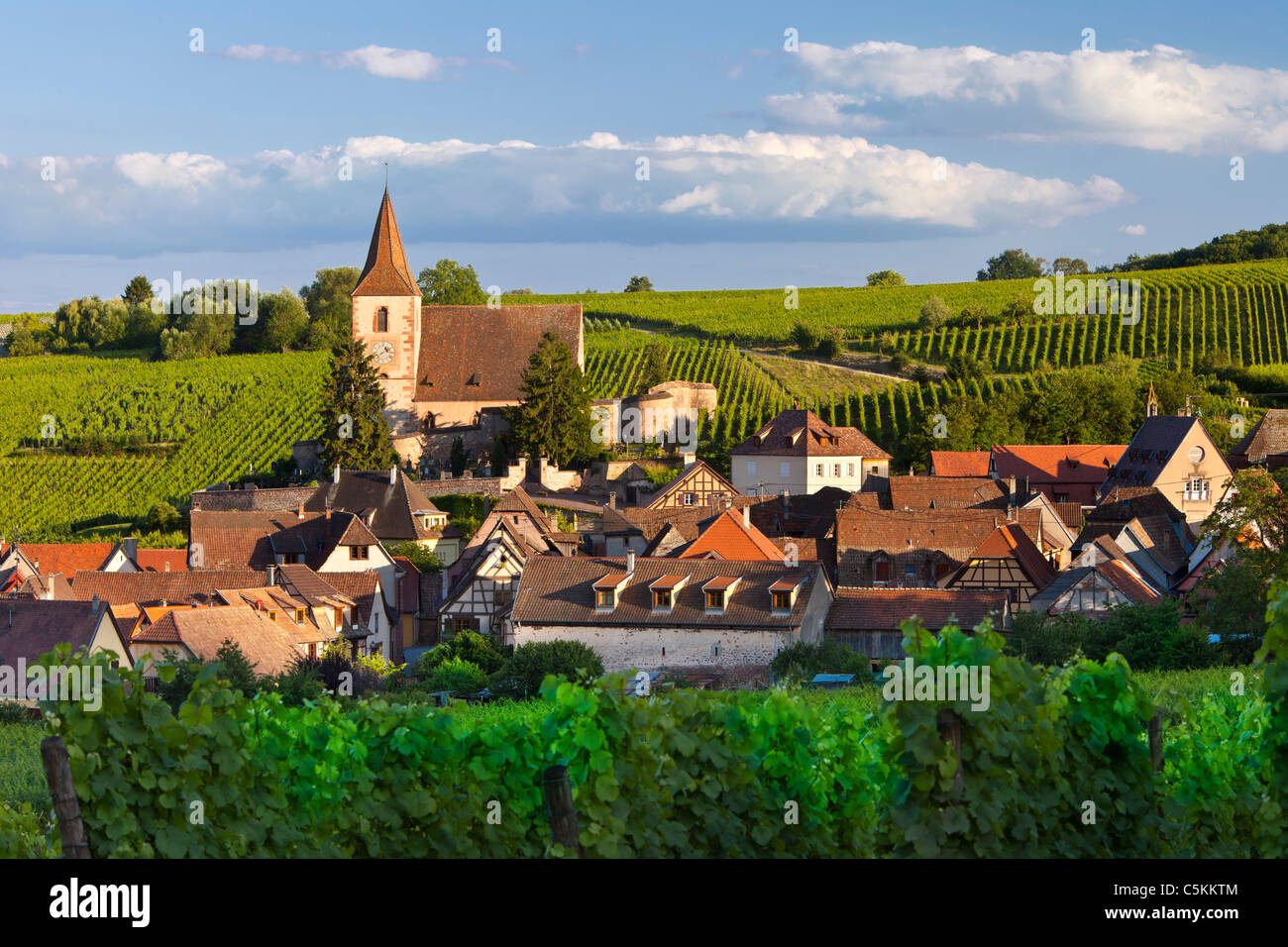 Sera La luce del sole sopra il borgo medievale di Hunawihr lungo la strada del vino Alsaziano Haut-Rhin Francia Foto Stock