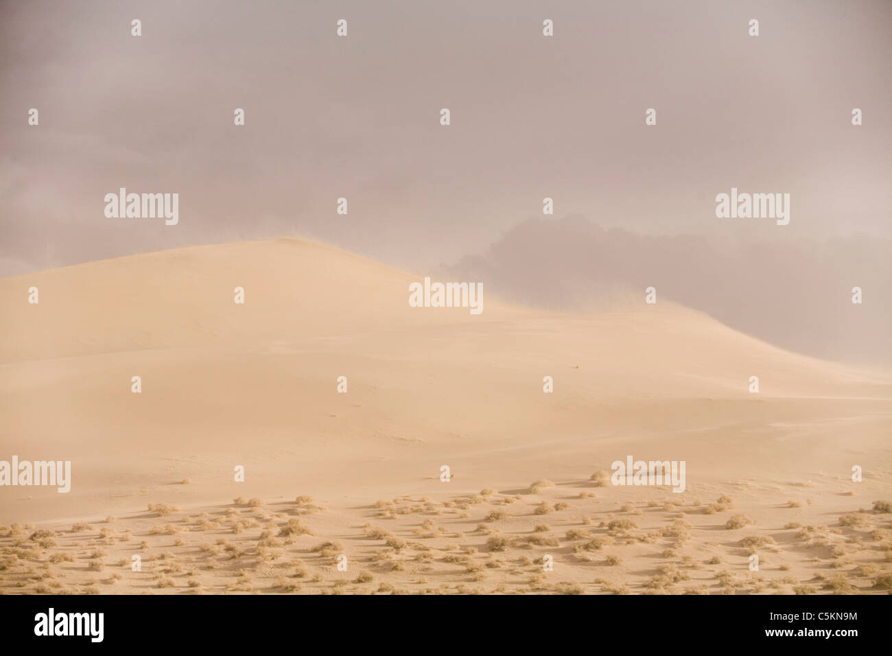 Soffiando sabbia attraverso le dune di Eureka, Death Valley, CA Foto Stock