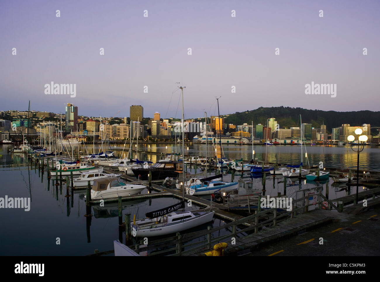 Wellington City e per il porto all'alba, Nuova Zelanda Foto Stock