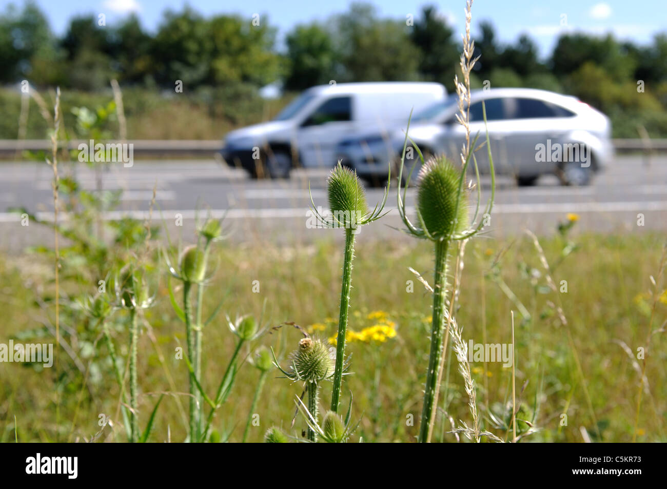 M40 Autostrada orlo con veicoli che passano, Warwickshire, Regno Unito Foto Stock