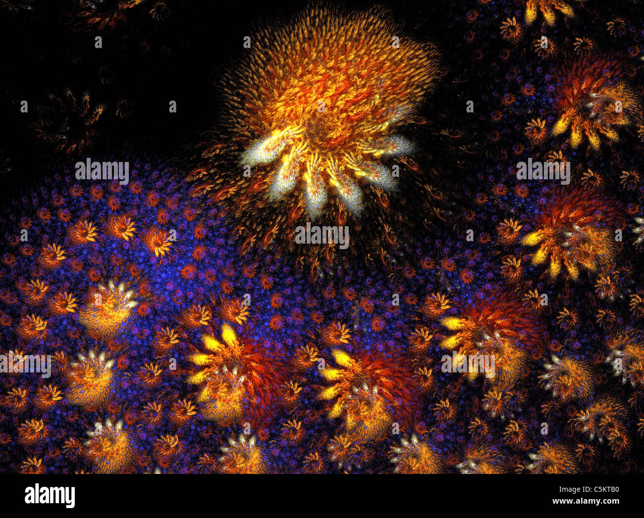 Un frattale di fiamma di gallina creati utilizzando le apofisi programma per computer Foto Stock