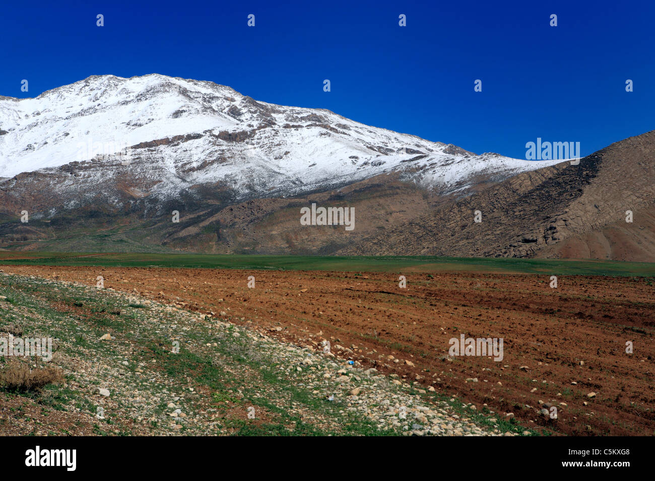 Monti Zagros, provincia Chahar-Mahal e Bakhtyaria, Iran Foto Stock