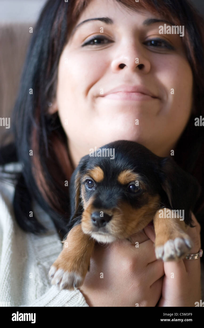 Donna che mantiene un neonato cucciolo di razza mista di Yorkshire Terrier e beagle (borkie) Foto Stock