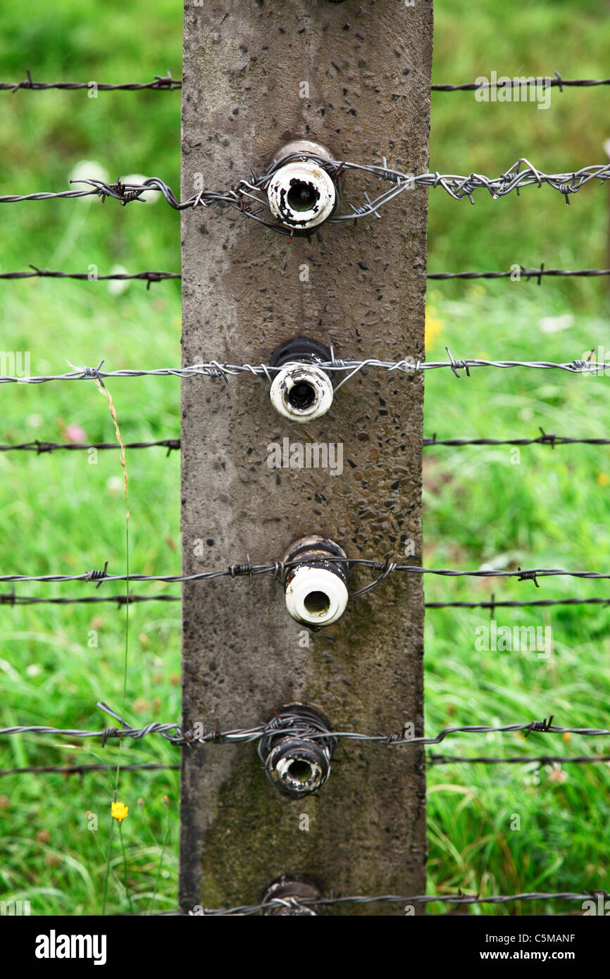 Recinto elettrico dettaglio di Birkenau, auschwitz Foto Stock