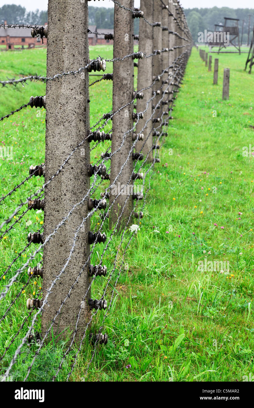 Recinto elettrico dettaglio di Birkenau, auschwitz Foto Stock