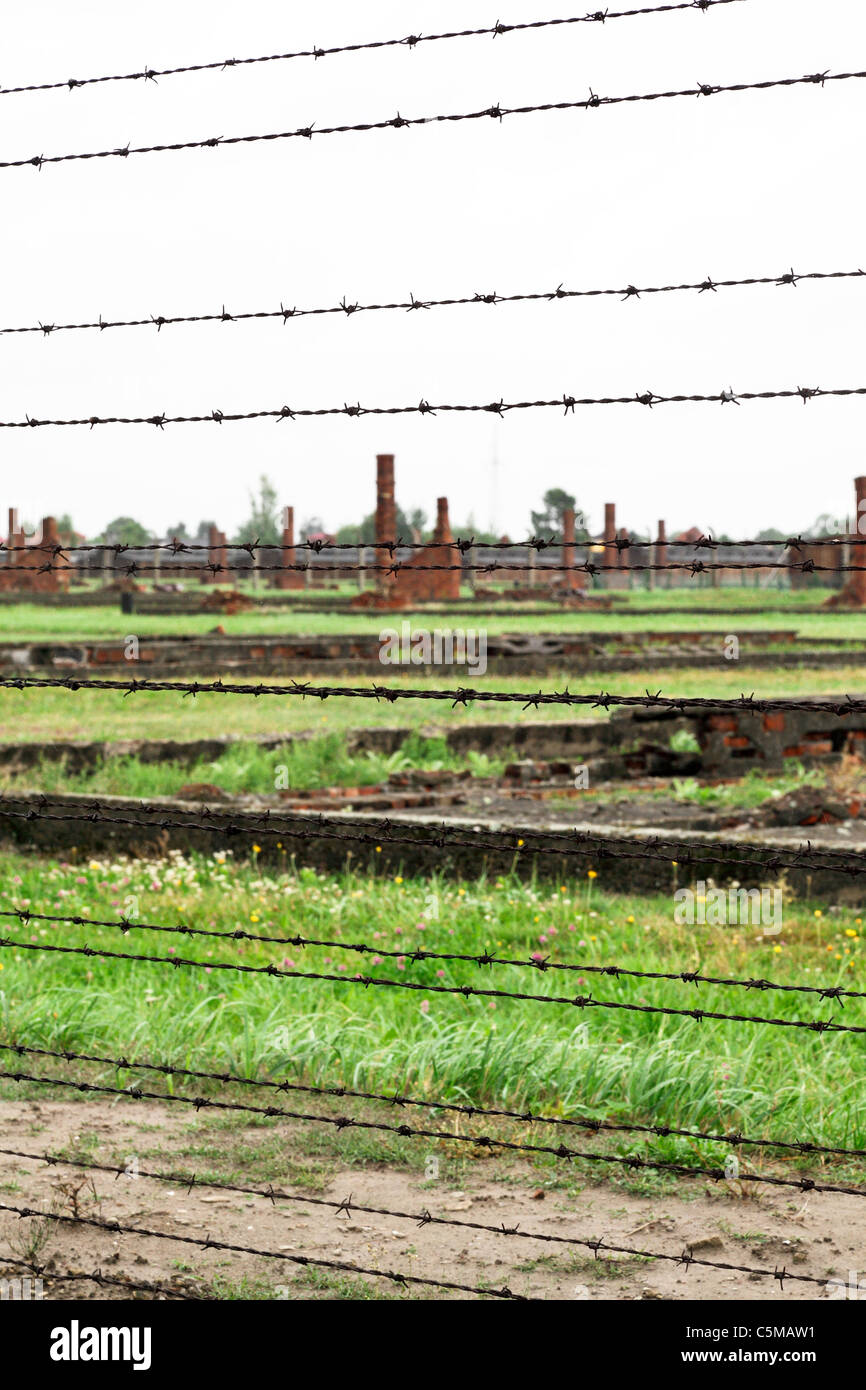 Recinto elettrico dettaglio di Birkenau, auschwitz Foto Stock