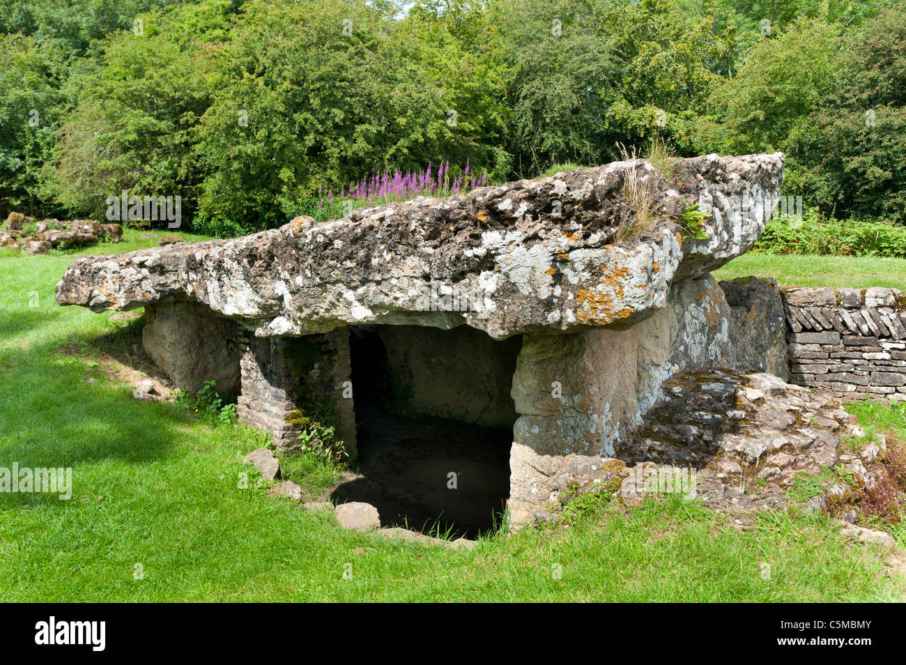 Tinkinswood più grande civiltà megalitica neolitico sepoltura camera sito neolitico Cowbridge South Wales UK Foto Stock