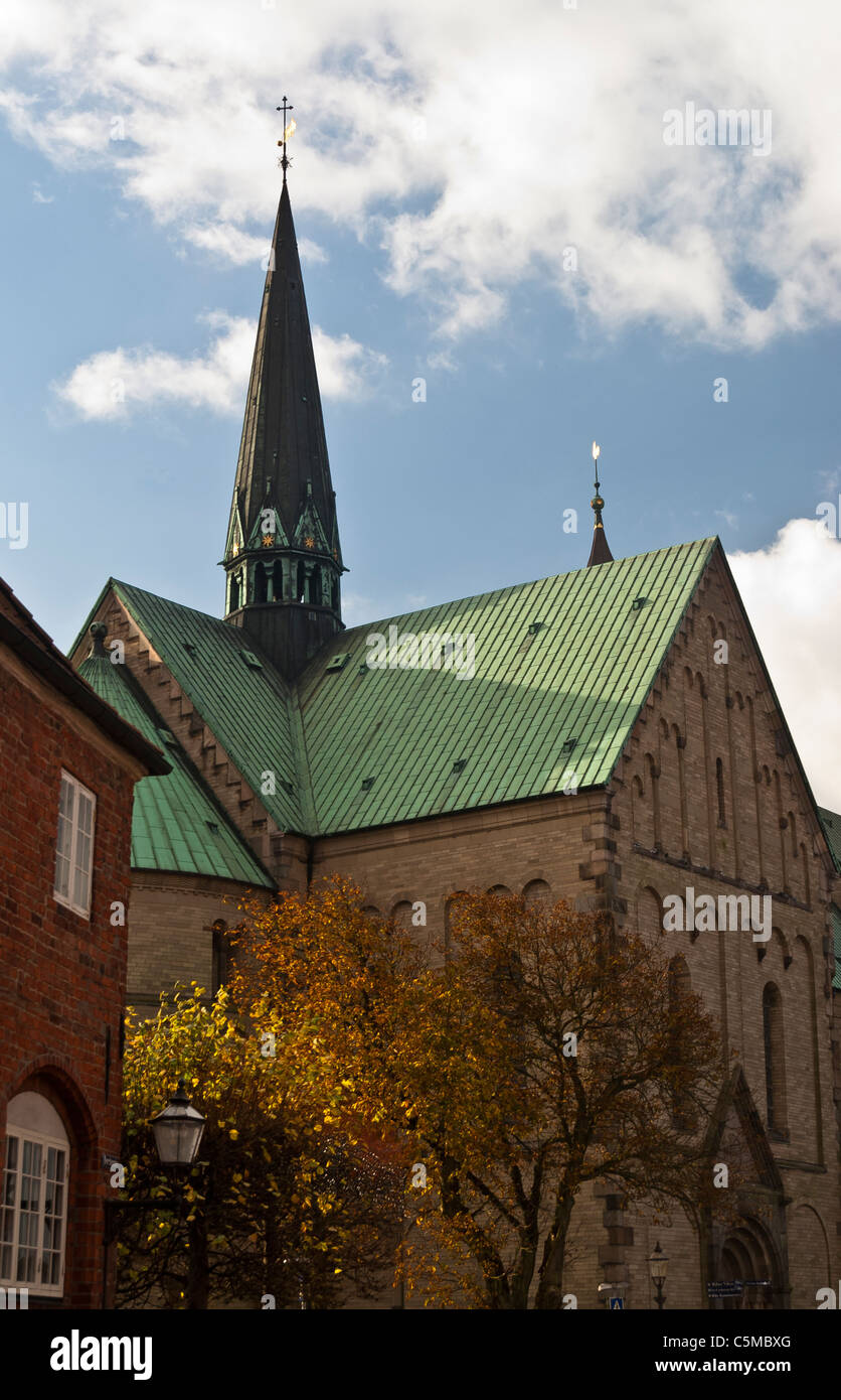 La Cattedrale di Ribe, nello Jutland, Danimarca Foto Stock