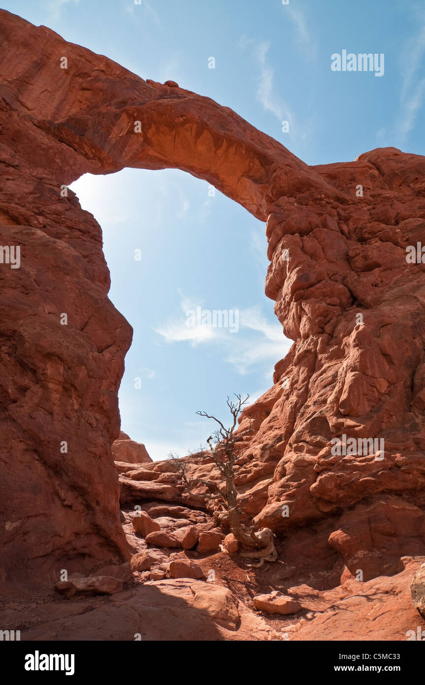 La torretta ARCH, Arches National Park, Utah, Stati Uniti d'America Foto Stock