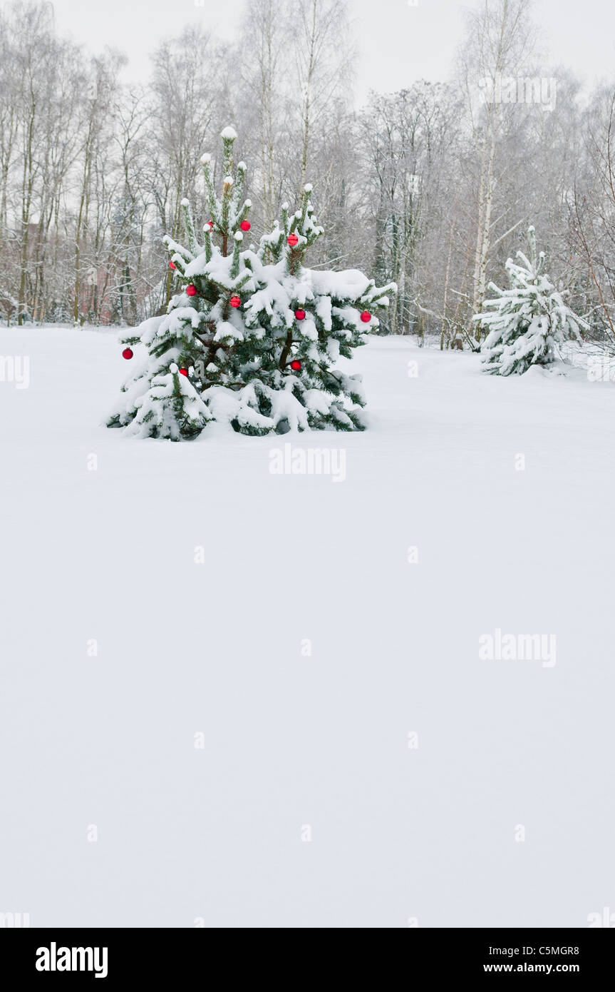 Albero di Natale decorato in una radura del bosco Foto Stock