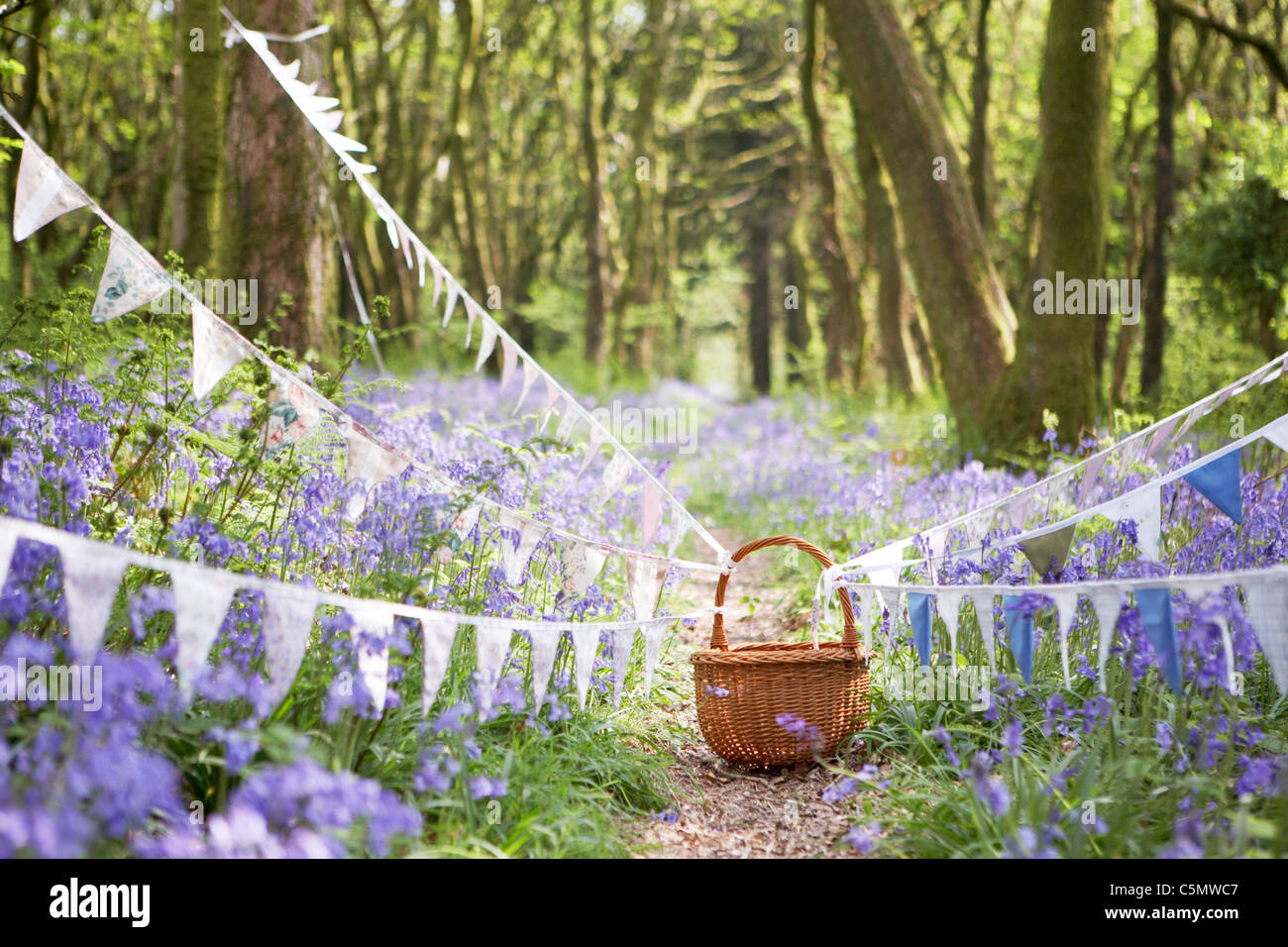 Vintage bunting e cesto di vimini lungo un percorso nel Dorset primavera bluebell woodland, England, Regno Unito Foto Stock