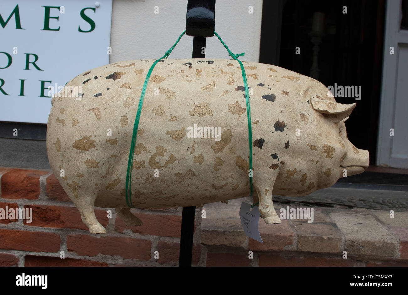 Un maiale di riagganciare al di fuori di un negozio Foto Stock