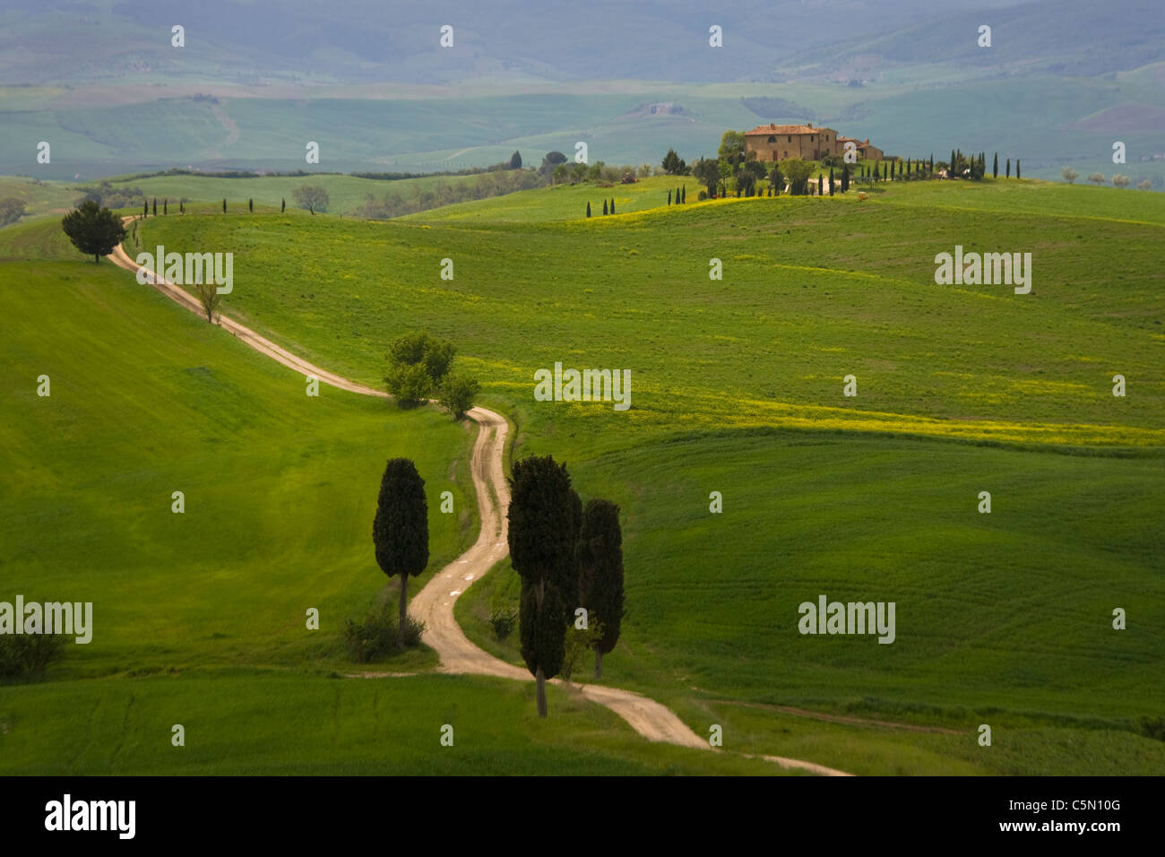 Tracciato toscano che conduce alla villa fattoria nella campagna nei pressi di Pienza, Toscana, Italia, Europa Foto Stock