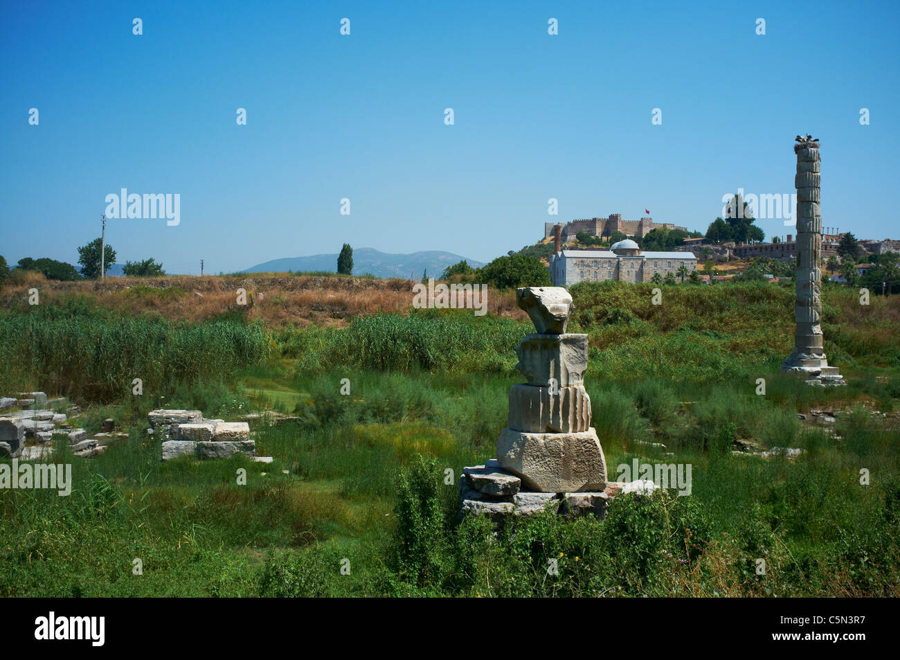Il tempio di Artemide Efeso Turchia Foto Stock