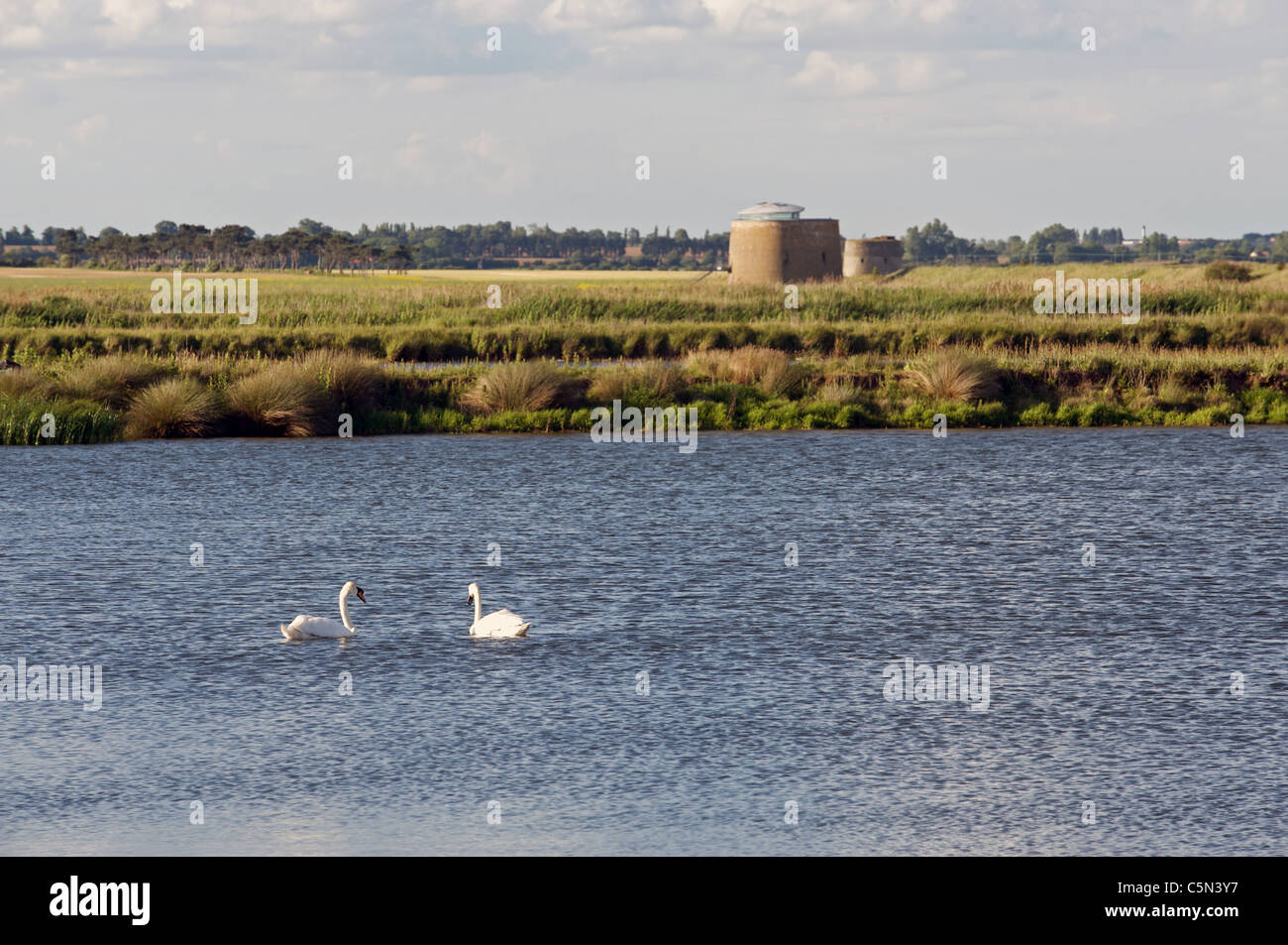 Il serbatoio di irrigazione Foto Stock