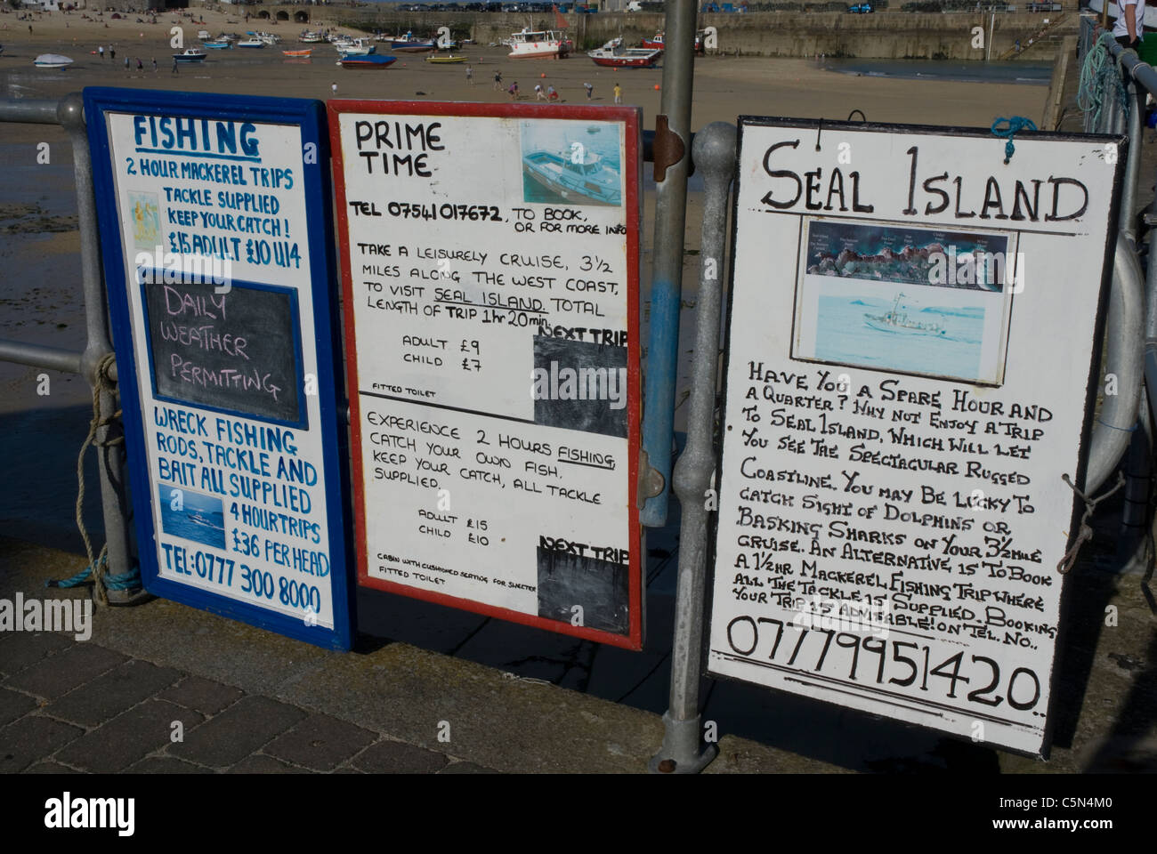 Pubblicità schede di gite in barca a Isola di tenuta e gite di pesca sul fronte del porto di St Ives, Cornwall, Regno Unito Foto Stock