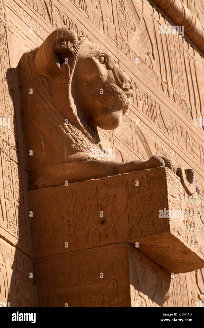 Leonessa uscente dalla parete - Dendera tempio sud dell'Egitto Foto Stock