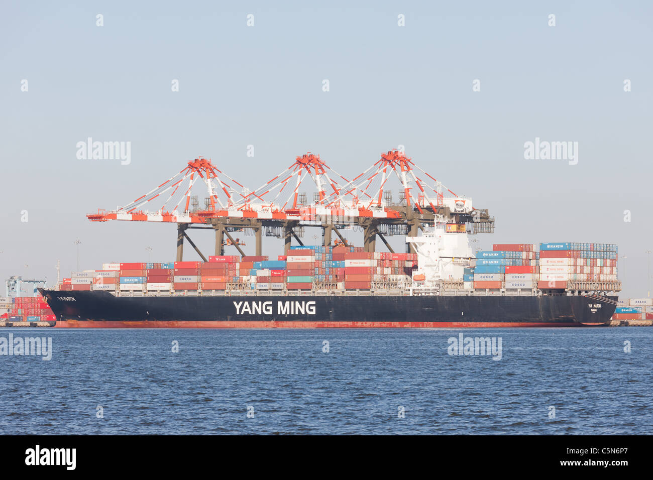 Un Yang Ming nave container è caricato al Maher terminali terminale per container nel porto Newark-Elizabeth Terminale Marino. Foto Stock