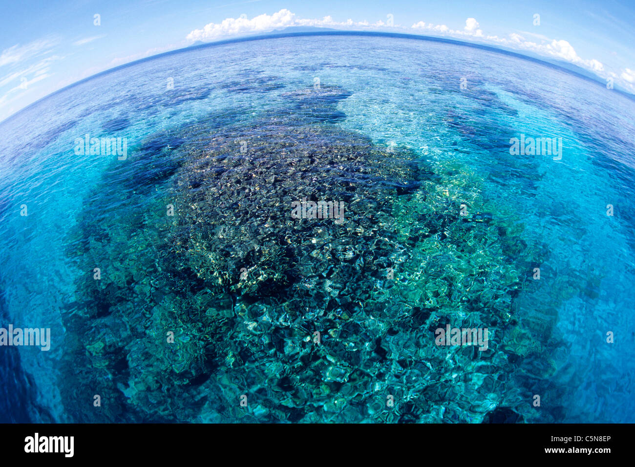 Coral Reef a Kimbe Bay, Kimbe Bay di New Britain, Papua Nuova Guinea Foto Stock