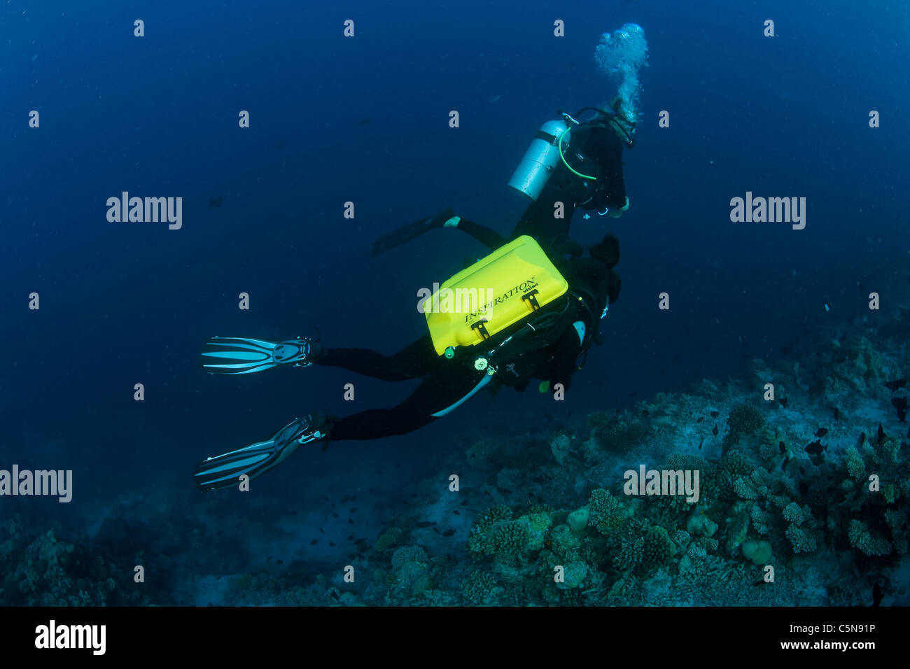 Rebreather immersioni subacquee, Oceano Indiano, Maldive Foto Stock